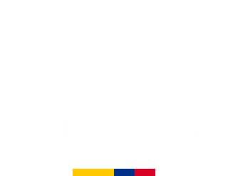 Ministerio de las Culturas
