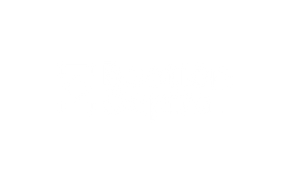 Bastion Capital