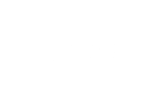Líder IA